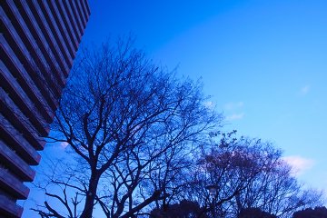 空 空