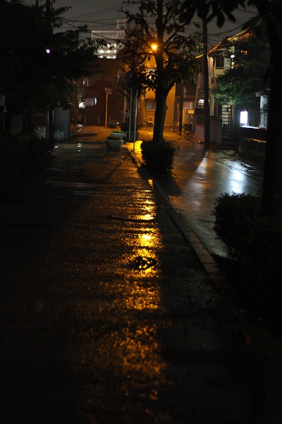 EOS 7D + EF50mmF1.8II EOS 7D + EF50mmF1.8II