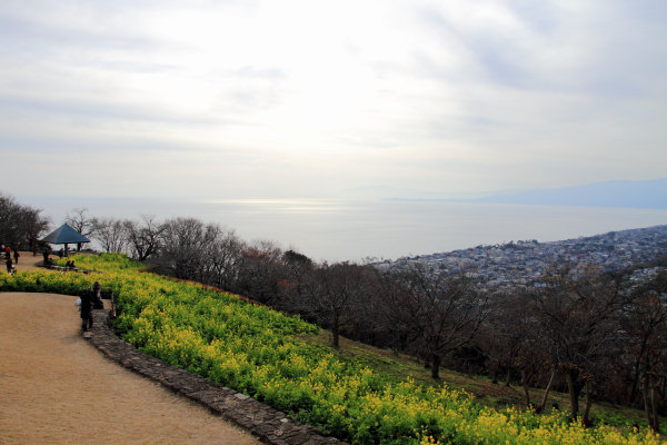 吾妻山公園